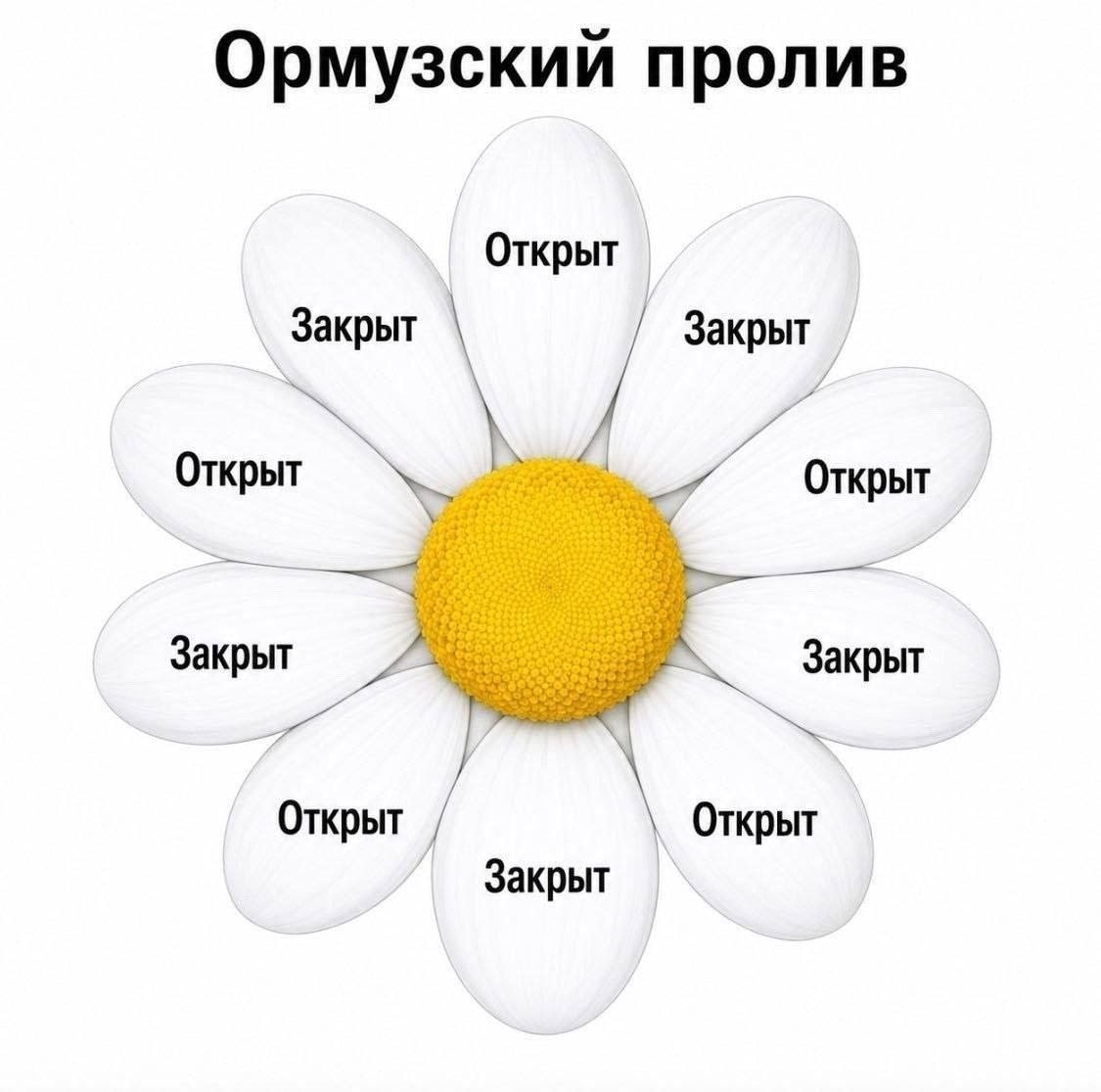 Публикация Telegram #2559